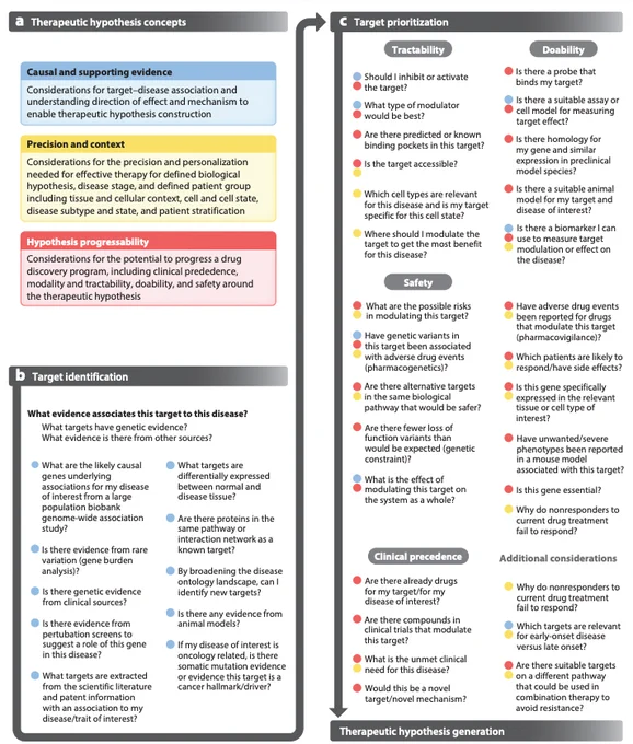 The Open Targets framework for building therapeutic hypotheses is composed of three overarching concepts: causal and supporting evidence, precision and context, and hypothesis progressability. The steps of the framework include: target identification, target prioritisation — this includes considerations on tractability, doability, safety, and some additional considerations — and therapeutic hypothesis generation. This figure provides some examples of the types of questions Open Targets tries to address in order to help build therapeutic hypotheses.