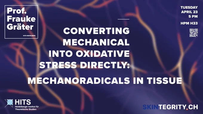 Tissues are perpetually subjected to mechanical forces. We know for nearly a century that high mechanical load on polymer materials - be it a shoe sole or rubber band – causes the rupture of chemical bonds and generates mechanoradicals. We uncovered the very same mechanism in biology: radicals form by stretching collagen, a major protein material of our tissues, even under stresses far below tissue failure. Using experiments in conjunction with simulations and machine learning we reveal how collagen tames its radicals and converts them in a highly controlled fashion to oxidative stress, dominantly hydrogen peroxide. We currently explore how this new mechano-sensing mechanism is related to tissue inflammation and ageing.