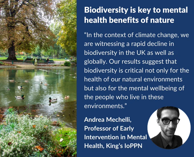 Biodiversity is key to mental health benefits of nature. “In the context of climate change, we are witnessing a rapid decline in biodiversity in the UK as well as globally. Our results suggest that biodiversity is critical not only for the health of our natural environments but also for the mental wellbeing of the people who live in these 
environments.” Andrea Mechelli, Professor of Early Intervention in Mental Health, King’s IoPPN