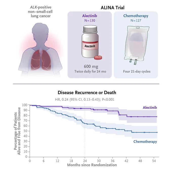 Top: Illustration of a patient with ALK-positive non–small-cell lung cancer and two treatments assigned during the ALINA trial: oral alectinib (600 mg
twice daily) for 24 months or four 21-day cycles of intravenous platinum-based chemotherapy.

Bottom: A graph showing that alectinib therapy was associated with a lower risk of disease recurrence or death than chemotherapy.