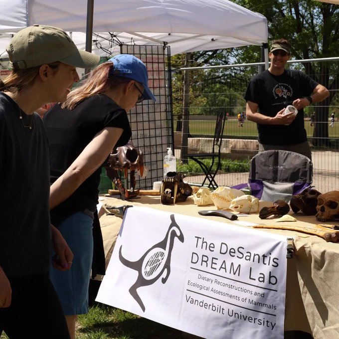 On-lookers look at the DeSantis DREAM Lab booth with skull casts of humans and extinct cats