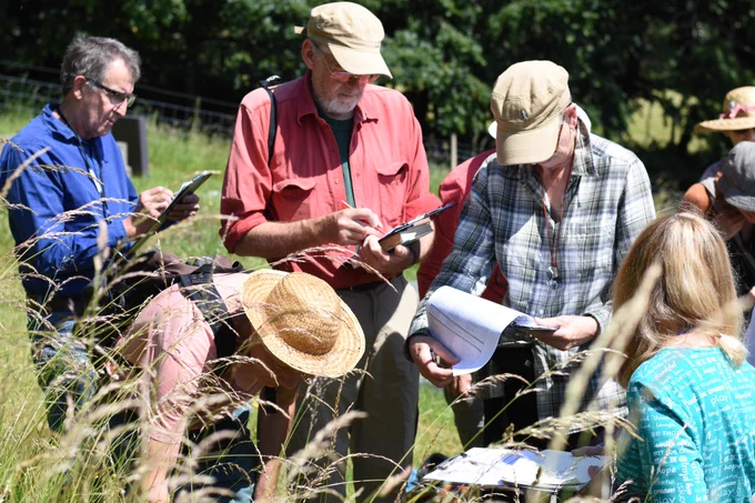 people outside botanising in a churchyard