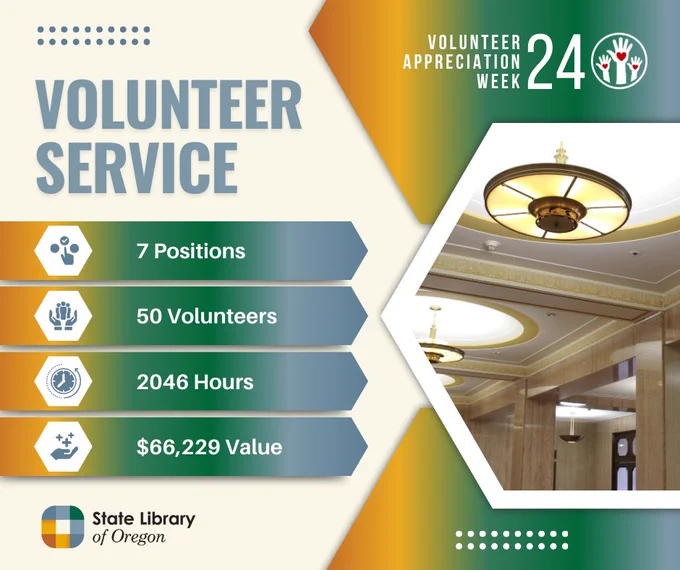 Volunteer Service Statistics graphic.
