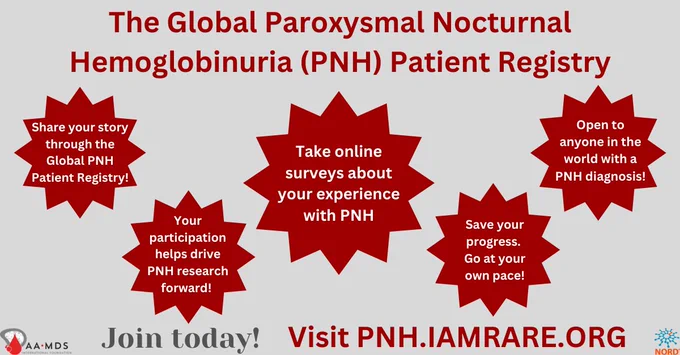 The image features five dark red star-shaped graphics with bolded white text. The messages include, “Share your story through the Global PNH Patient Registry!”, “Open to anyone in the world with a PNH diagnosis!”, “Take online surveys about your experience with PNH”, “Your participation helps drive PNH research forward!”, and “Save your progress. Go at your own pace!”