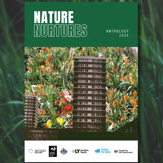 The cover image of the 2024 Nature Nurtures anthology in the centre. It has a green banner at the top and a photo beneath of a high rise flat with a flowery superimposed background.  