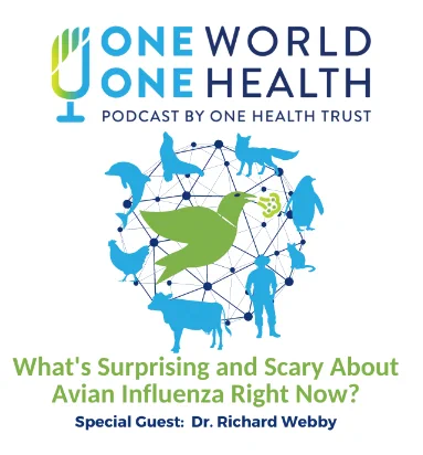 The title of the podcast is "What's surprising and scary about Avian Influenza right now?" with special guest Dr. Richard Webby.