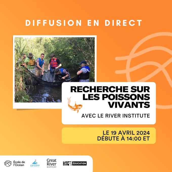 Six personnes portant un gilet de sauvetage sont debout dans un ruisseau. Ils tiennent tous un grand filet noir et regardent son contenu. Une personne est penchée et essaie d’attraper quelque chose dans le filet. Le texte sur le côté de la photo se lit comme suit: “En direct. Recherche sur les poissons vivants avec le River Institute. Le 19 avril 2024. Débute à 14:00 l’heure de l’Est.