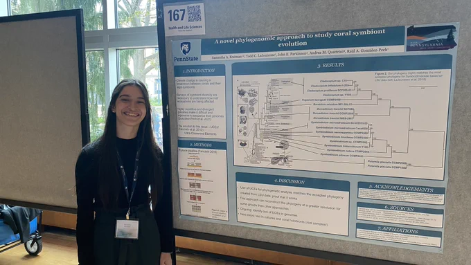 Sam Kratman, a sophomore, presenting her poster of  looking for ultra conserved elements of Symbiodiniaceae genomes. A large phylogenetic tree is shown.