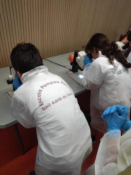 Prova pilot de l'activitat Periodistes Científics al PRBB, dins del marc del programa Escolab.