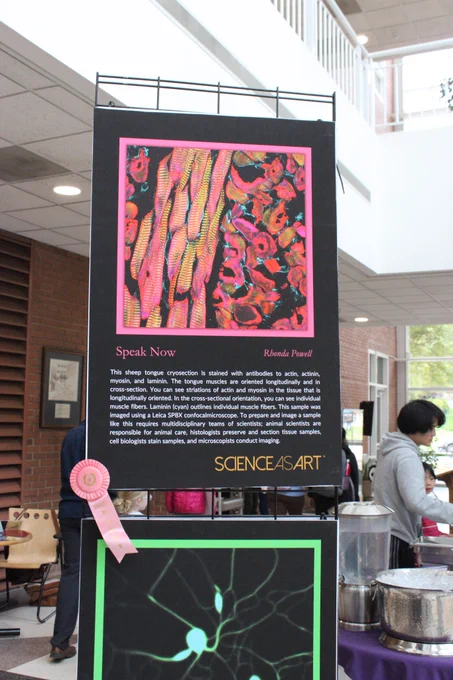 A photograph of an art entry. The entry is titled “Speak Now” by Rhonda Powell. There is a pink, 4th place ribbon on the bottom corner of the entry.