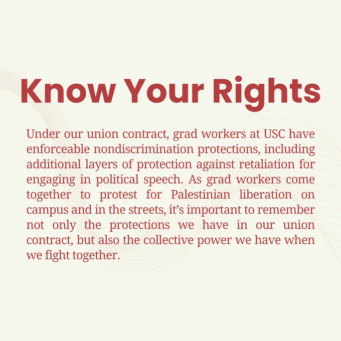 Under our union contract, grad workers at USC have enforceable nondiscrimination protections, including additional layers of protection against retaliation for engaging in political speech. As grad workers come together to protest for Palestinian liberation on campus and in the streets, it’s important to remember not only the protections we have in our union contract, but also the collective power we have when we fight together.