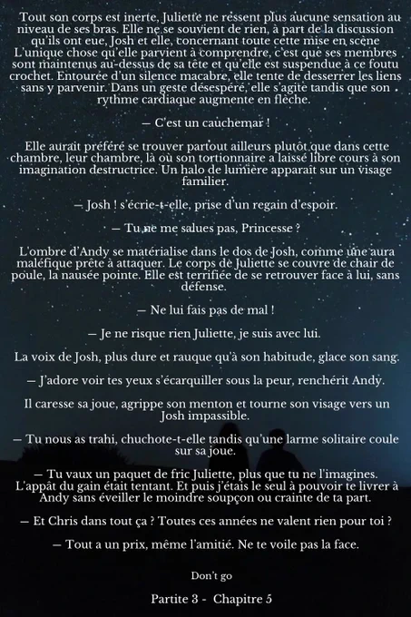 Tout son corps est inerte, Juliette ne ressent plus aucune sensation au niveau de ses bras. Elle ne se souvient de rien, à part de la discussion qu’ils ont eue, Josh et elle, concernant toute cette mise en scène L’unique chose qu’elle parvient à comprendre, c’est que ses membres sont maintenus au-dessus de sa tête et qu’elle est suspendue à ce foutu crochet. Entourée d’un silence macabre, elle tente de desserrer les liens sans y parvenir. Dans un geste désespéré, elle s’agite tandis que son rythme cardiaque augmente en flèche. 

― C’est un cauchemar !

 Elle aurait préféré se trouver partout ailleurs plutôt que dans cette chambre, leur chambre, là où son tortionnaire a laissé libre cours à son imagination destructrice. Un halo de lumière apparaît sur un visage familier.

― Josh ! s’écrie-t-elle, prise d’un regain d’espoir.

― Tu ne me salues pas, Princesse ?

 L'ombre d’Andy se matérialise dans le dos de Josh, comme une aura maléfique prête à attaquer. Le corps de Juliette se couvre