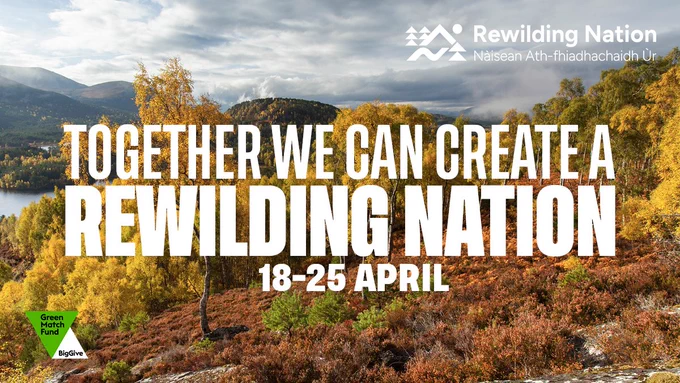 Graphic with text overlayed onto an image of autumn trees in a stunning Scottish landscape. Text says "Together we can create a rewilding nation"