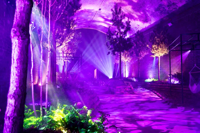 Dark purple lighting beaming in a tunnel filled with green trees. 