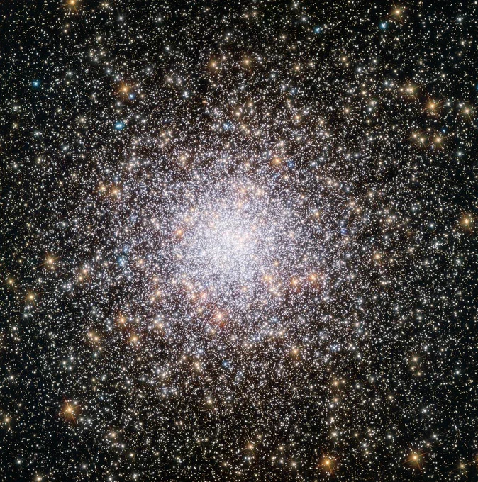 A massive cluster of stars of varying sizes and temperatures. The cluster has a bright center. Away from the center, the cluster gets more diffuse. Credits: ESA/Hubble and NASA