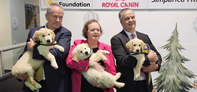 [Carol Brown, Bill Shorten and Chris Edwards holding yellow Seeing Eye Dogs pups in training at our training facility during the announcement]