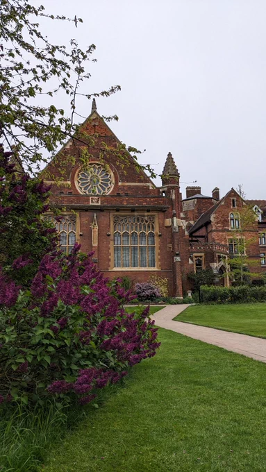 Pretty photo of flowering plant and building 