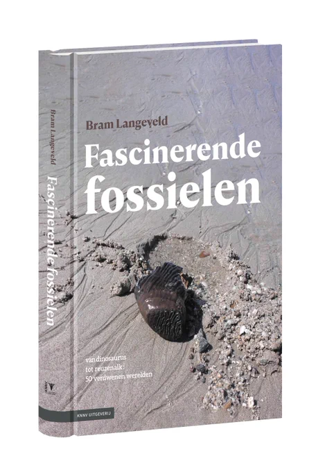 Fascinerende fossielen | Van dinosaurus tot reuzenalk: 50 verdwenen werelden