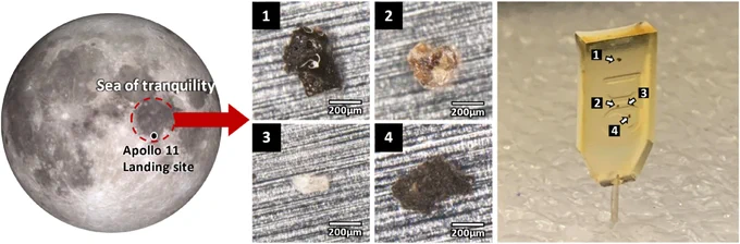 The lunar dust samples obtained from the Apollo 11 Moon landing site; Grain#1 and Grain#4 are suspected agglutinate particles, while Grain#2 and Grain#3 are likely individual common mineral clasts found on the lunar surface. The samples were extracted from mature mare sample 10084 and encased in epoxy resin to minimize contamination. (Tai-Jan Huang et al., 2024)