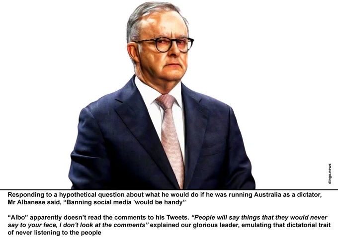 PM hates democratic dissent