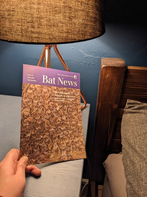 A copy of the Bat Conservation Trust magazine, Bat News, on a bedside table.