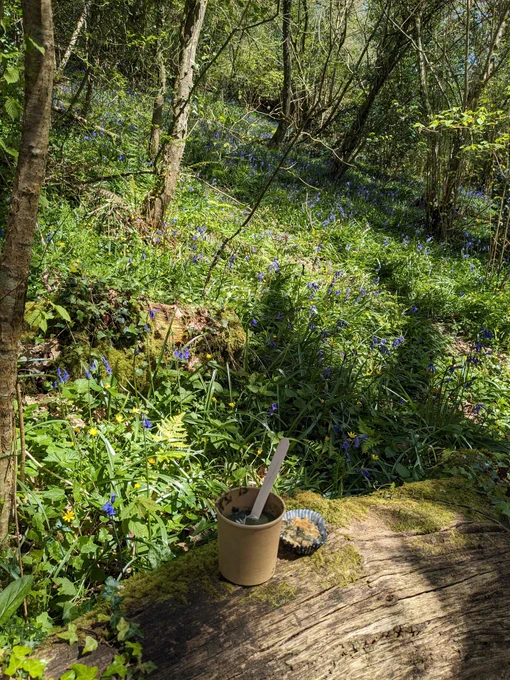 A woodland filled with bluebells. In the foreground is a cup of green nettle soup and a cheese and nettle muffin resting on a moss covered fallen tree.