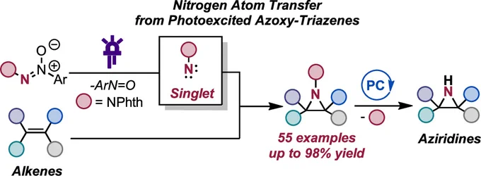 TOC image, from the article "Aziridination via Nitrogen-Atom Transfer to Olefins from Photoexcited Azoxy-Triazenes"