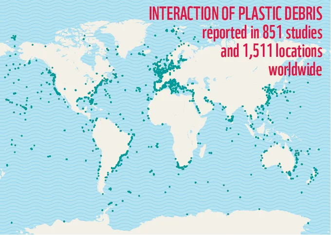 Based on data compiled in litterbase.org (@awi_de)
