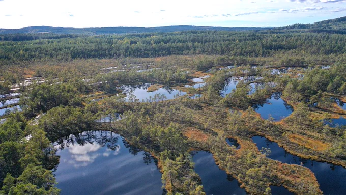 Hammarmossen raised bog, Sweden, from above. Pools of clear water in between land with shrubs and trees. More trees and hills can be seen in the distance. Read more about our colleagues' peatlands research: https://environment.leeds.ac.uk/news/article/5751/shrinking-pools-on-northern-peatlands