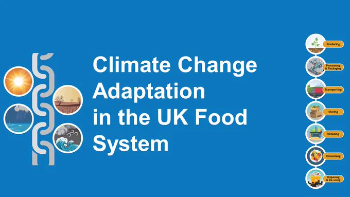 Graphic used for our climate change adaptation in the UK food system survey uses icons to illustrate how climate change will impact the UK food system supply chain. E.g. how extreme heat could lead to water shortages and drought or how heavy rainfall can lead to severe flooding, both extremes could have negative impacts on crop growth, harvesting, transportation or storage. 