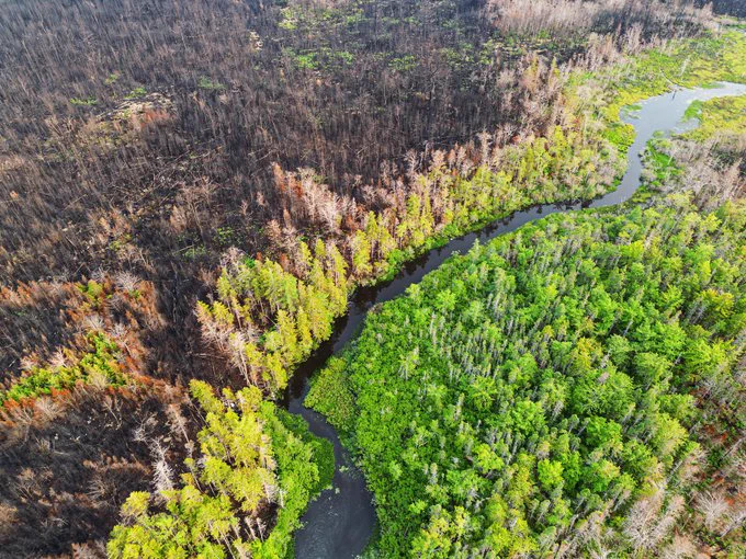 Aerial view of a wetland stillwater surrounded by wildfire damage.
Location is in Canada.