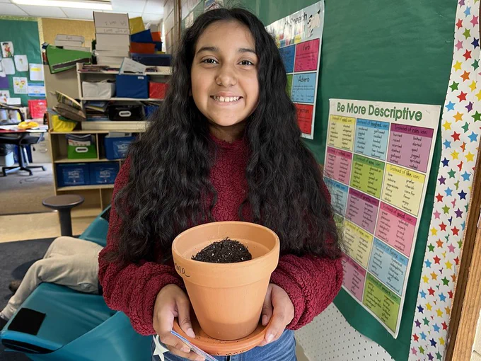 Planting seeds