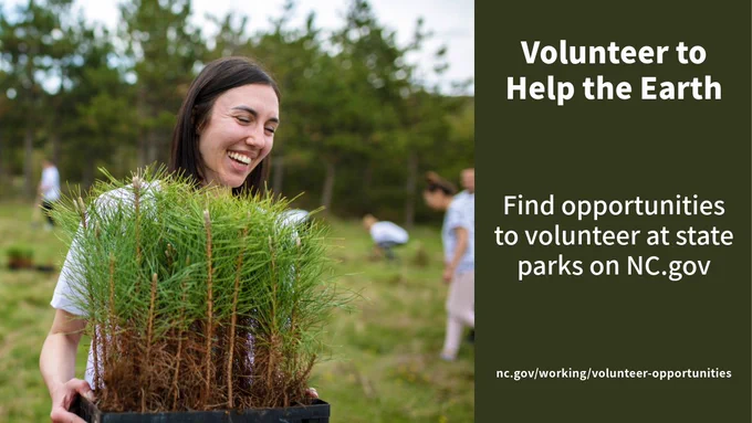 Woman holding trees volunteering for earth day, with text: Volunteer to help the Earth. Find opportunities to volunteer at state parks on NC.gov