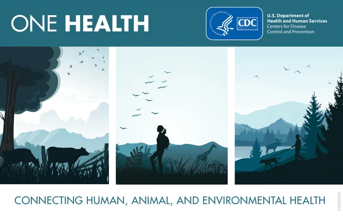 Illustration of a landscape with animals and people interacting in outdoor environments.   

Text reads:  One Health 

Connecting human, animal, and environmental health: when we protect one, we protect all. 