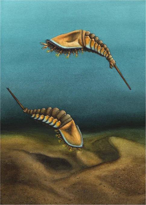 Illustration by Elissa Sorojsrisom