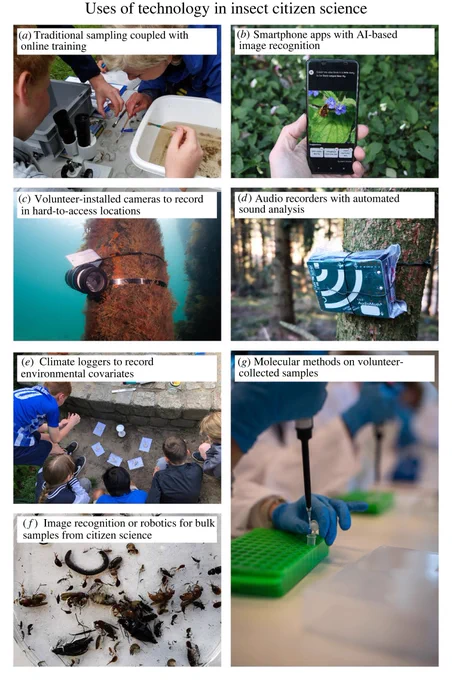 Examples of technology use in citizen science: (a) the FLOW project (photo by Julia von Gönner), (b) the iRecord smartphone app (photo by Michael Pocock), (c) the Australian Spider Crab Watch project (photo by Elodie Camprasse), (d) The Soundscapes project (photo by Julie K. Sheard), (e) the Ameisenpicknick project (photo by Aletta Bonn), (f) The MikroSafari project (photo by Julie K. Sheard) and (g) the DNA&Liv project