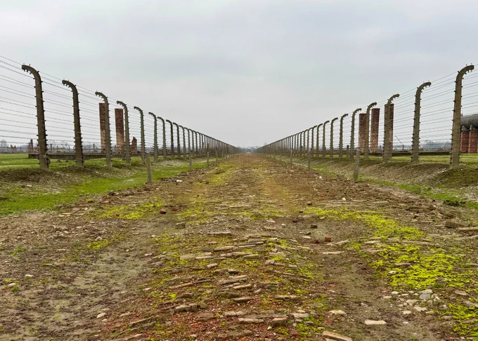 A road paved with bricks between to lines of barbed-wire fences at the site of former Auschwitz II-Birkenau fences.