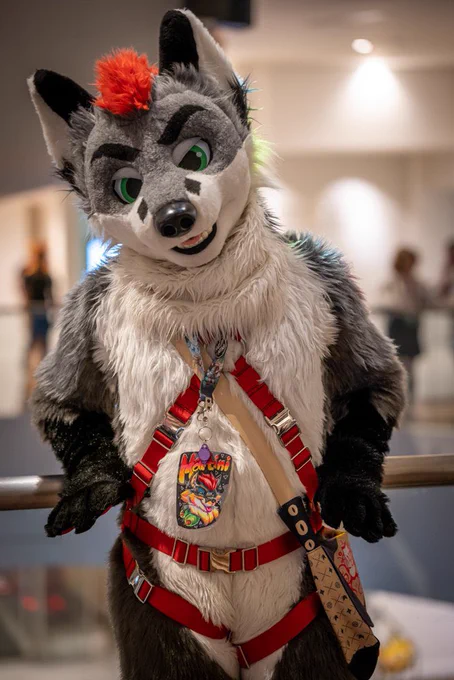 Picture of Martini in a fox fursuit with a red belt harness and a shoulder bag posing for the camera.