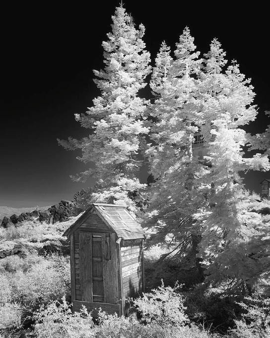 This image captures an old outhouse that sits near the base of the Mills Peak fire lookout in Plumas County California, above the community of Graeagle. Built in 1933 and restored in 2005, the lookout plays a vital role in wild fire prevention and early suppression. A few of these historic lookouts I’ve been to have these old wooden outhouses next to them. I’m not sure if they’re still used or not, but it’s my hope modern staffers of the lookouts have more modern options.  It was nearly noon when I arrived at this location and the high sun was directly hitting the needles of the trees. Therefore, I chose to shoot this with my full spectrum modified camera fitted with an 830 nanometer infrared cut filter.