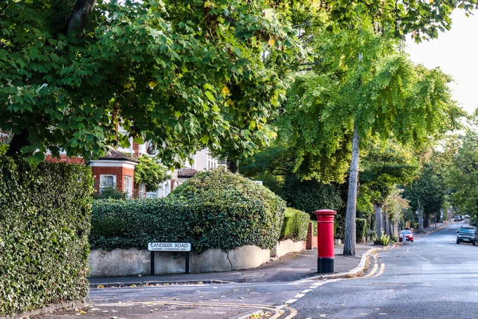 A street scene with a prominent hedge