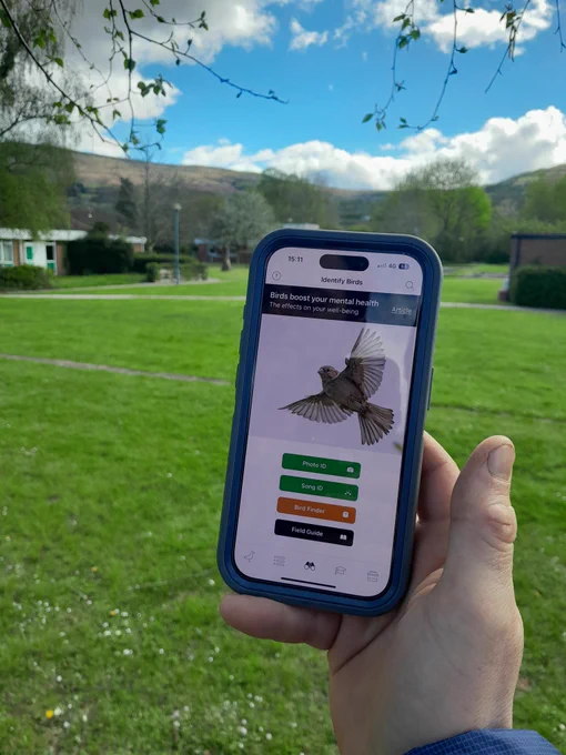 Photo of phone in a green field.