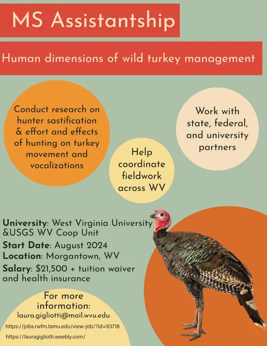 MS assistantship on human dimensions of wild turkey management at West Virginia University. More details at https://jobs.rwfm.tamu.edu/view-job/?id=93718