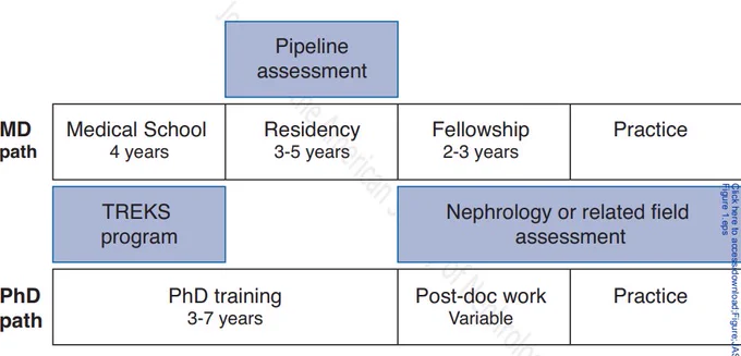 Schema of typical medical student and graduate training timelines and points of contact with the TREKS program