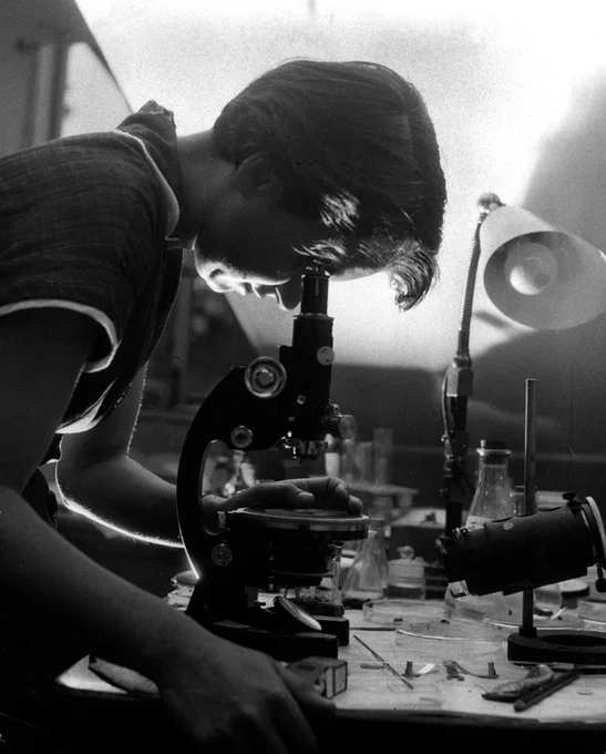 A black and white photograph of Dr. Rosalind Franklin looking into a microscope in a lab