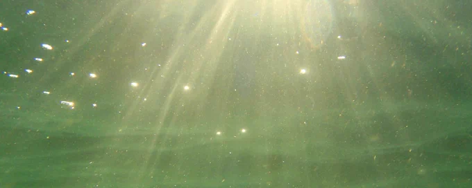 light filtering through green coloured water.