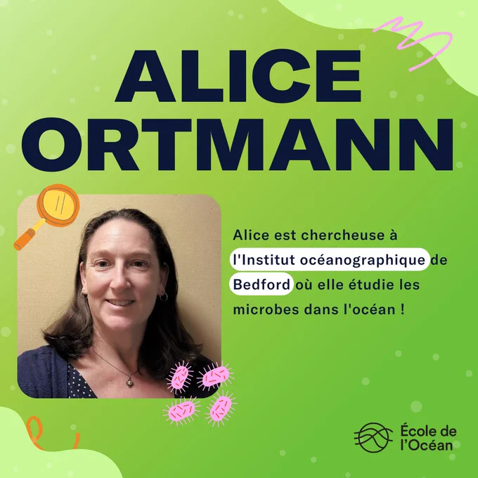 Portrait d'Alice Ortman avec texte : "Alice est chercheuse à l'Institut océanographique de Bedford où elle étudie les microbes dans l'océan !"