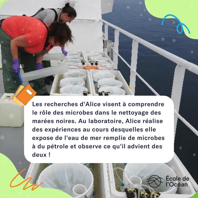 Deux scientifiques se penchent pour regarder des seaux d'expériences sur le pont d'un bateau.Le texte se lit comme suit : "Les recherches d'Alice visent à comprendre le rôle des microbes dans le nettoyage des marées noires. Au laboratoire, Alice réalise des expériences au cours desquelles elle expose de l'eau de mer remplie de microbes à du pétrole et observe ce qu'il advient des deux !"