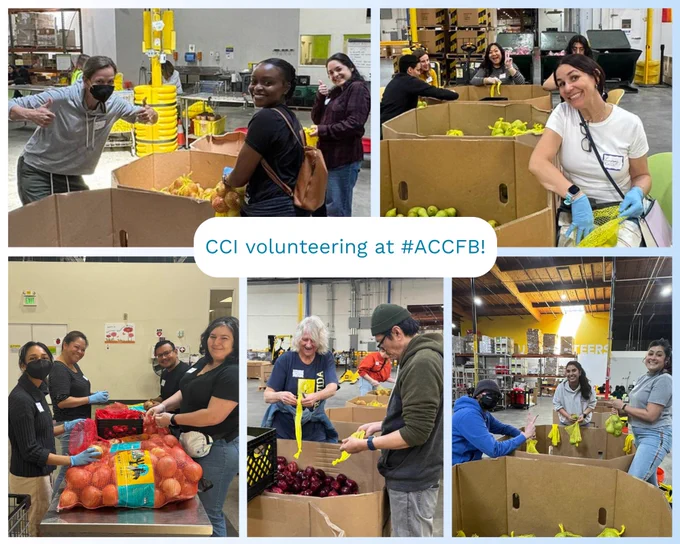 Photo collage of different CCI staff members volunteering at Alameda County Community Food Bank