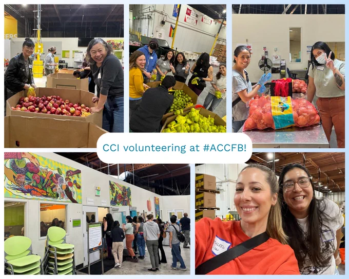 Photo collage of different CCI staff members volunteering at Alameda County Community Food Bank