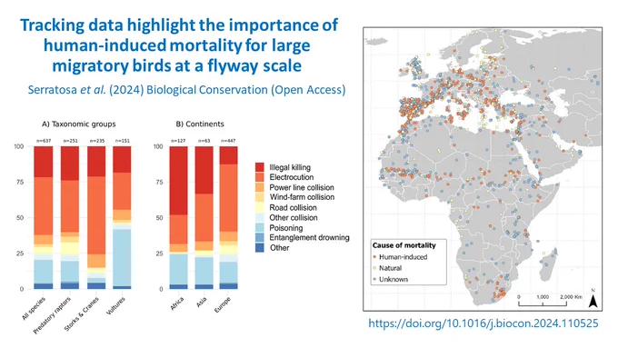 Graphical abstract showing 2 figures from the paper